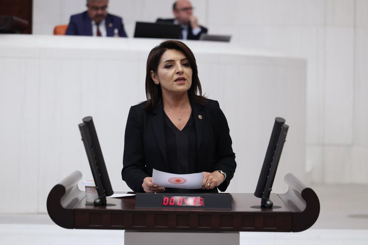 Gülcan Kış: 'Vatandaş artık geleceğini planlamıyor, bir sonraki kredi kartı son ödeme tarihini hesaplıyor'