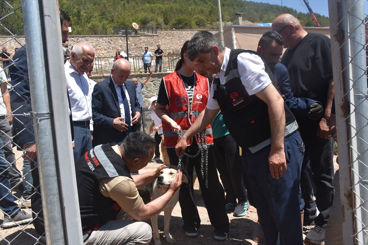 Gümüşhane'de sahipsiz hayvanlar için doğal yaşam alanı açıldı