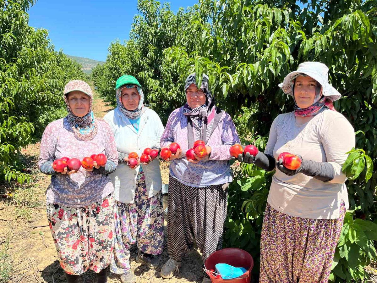 İznikli nektarin üreticisinden fiyat tepkisi