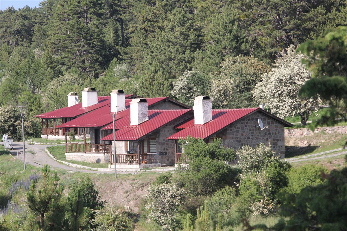 Karagöl Mesire Alanı'nda kamp, çadır ve karavanla konaklama yasaklandı