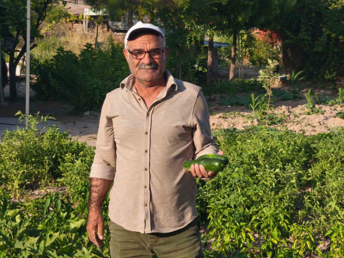 Kız kardeşinin organıyla hayata tutundu, şimdi toprağa hayat veriyor