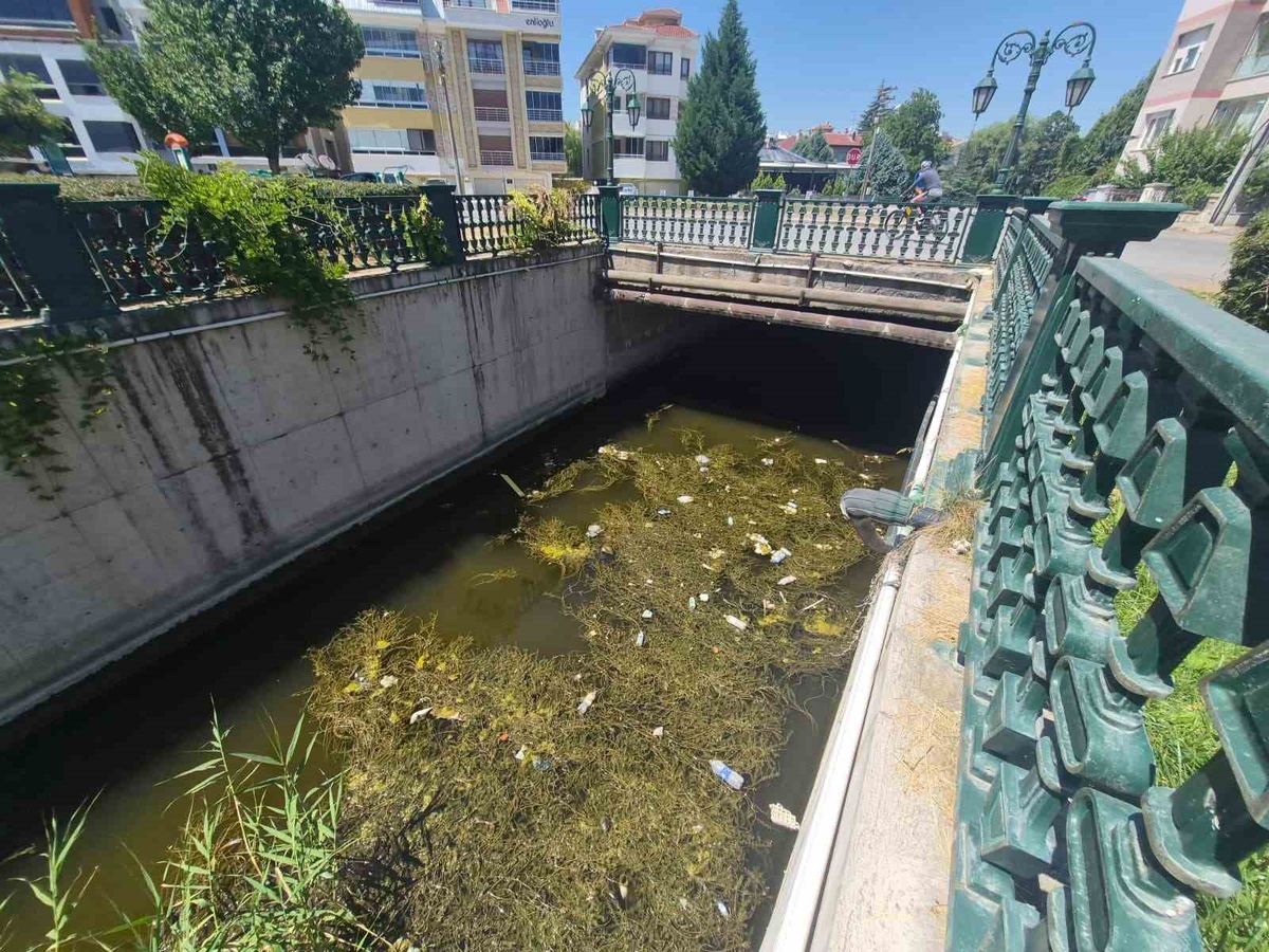 Porsuk Çayı’ndaki çöp kirliliği dikkat çekti