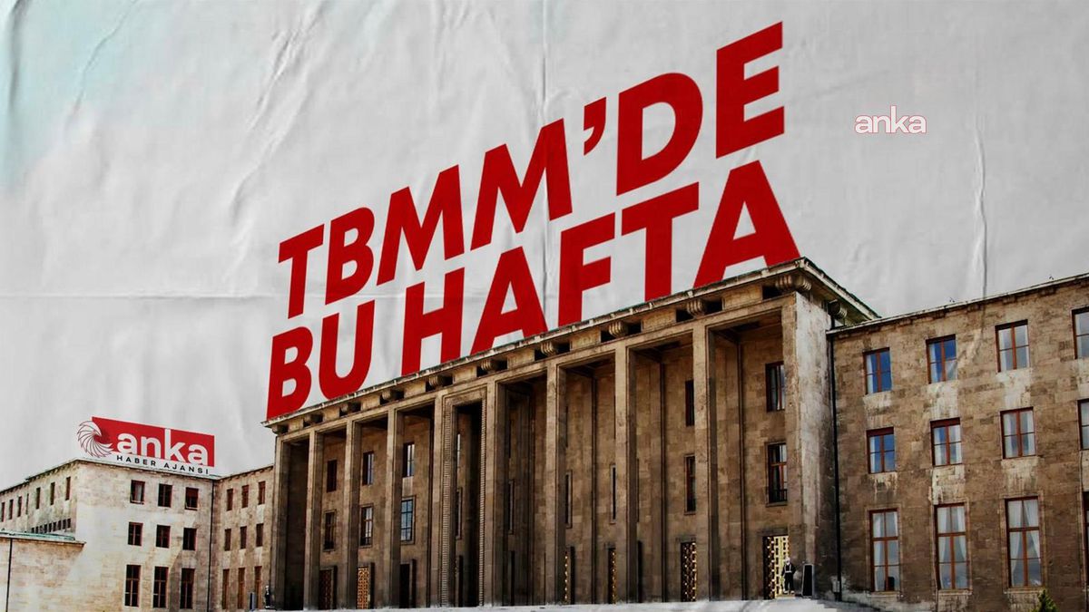 TBMM’de bu hafta… Çerçeve yasa ile ilgili teklifin TBMM’ye sunulması, Genel Kurul’da suç işleyen çocuklarla ilgili teklifin görüşülmesi bekleniyor