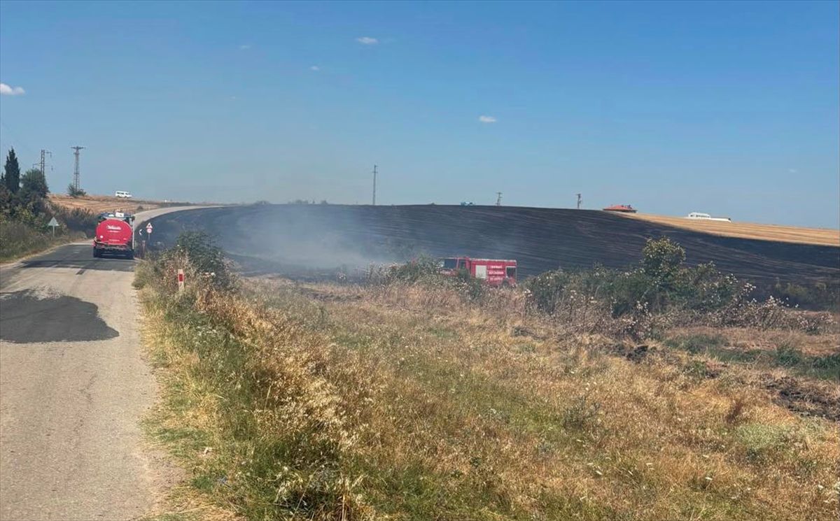 Tekirdağ'da çıkan anız yangınında 150 dekar tarım arazisi zarar gördü