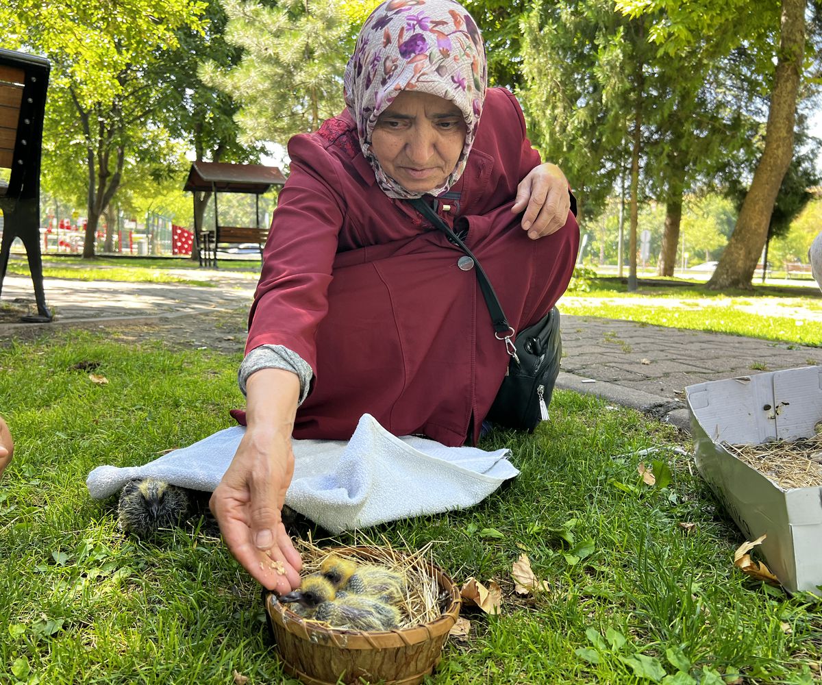 Kayseri'de havalandırma boşluğunda bulunan 5 yavru güvercin korumaya alındı
