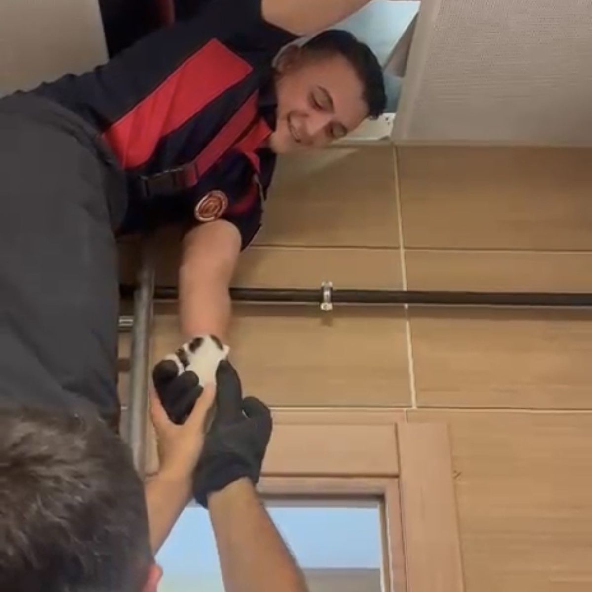 Çankırı'da Asma Tavan Arasında Mahsur Kalan Yavru Kediler İtfaiye Tarafından Kurtarıldı