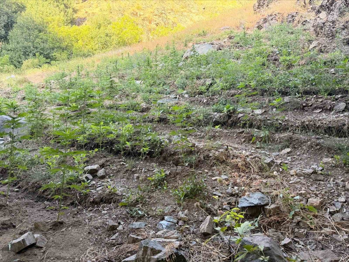 Bingöl'de Son Bir Haftada 19 Tutuklama
