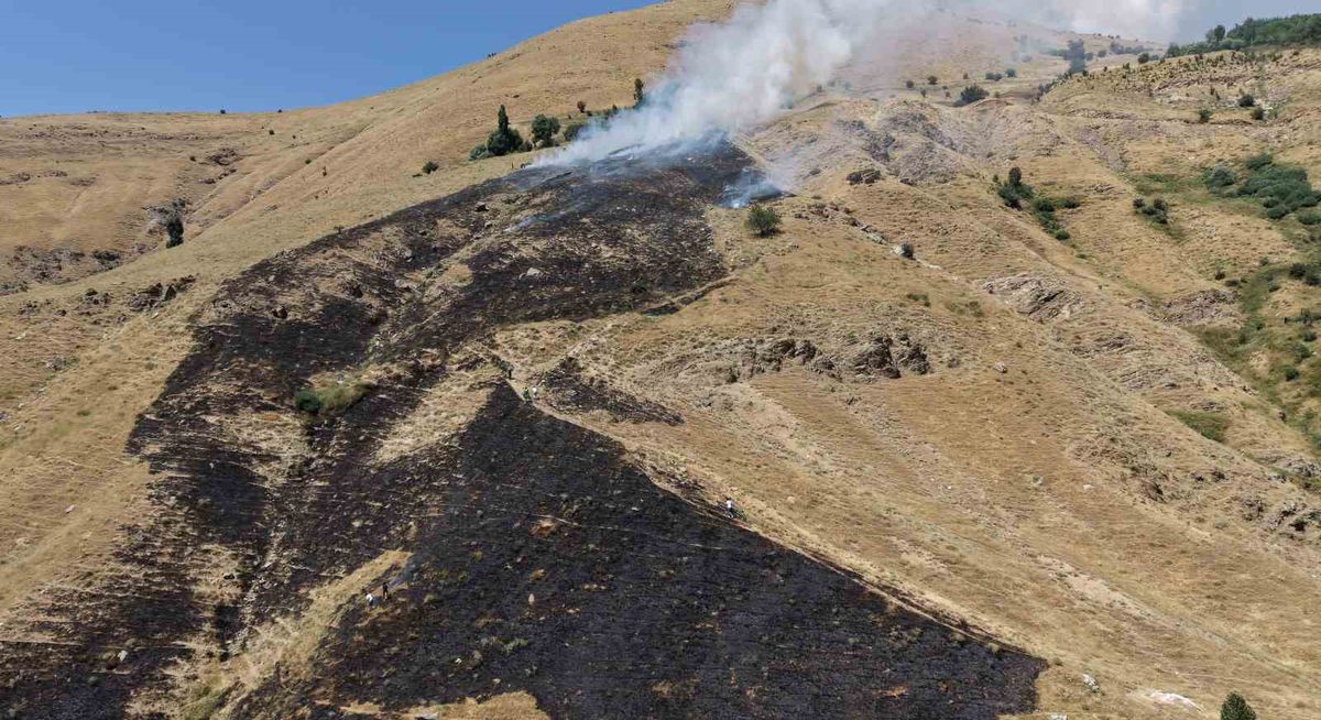Bitlis'te Örtü Yangını Kontrol Altına Alındı
