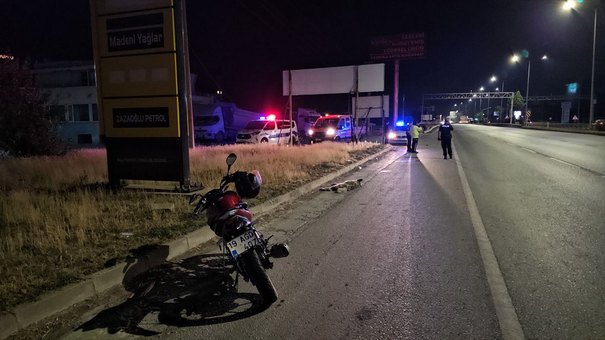 Çorum'da köpeğe çarpan motosikletteki 2 kişi yaralandı