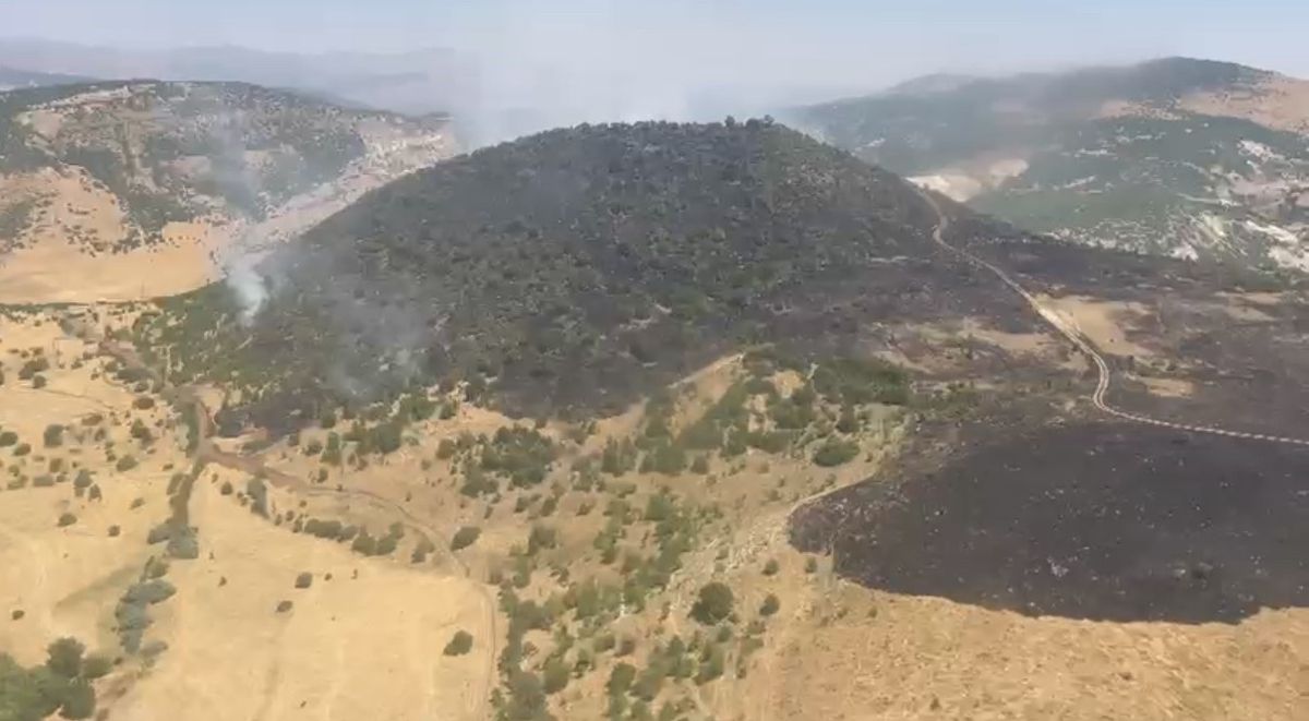 Elazığ'da Orman Yangını: 350 Dönüm Zarar