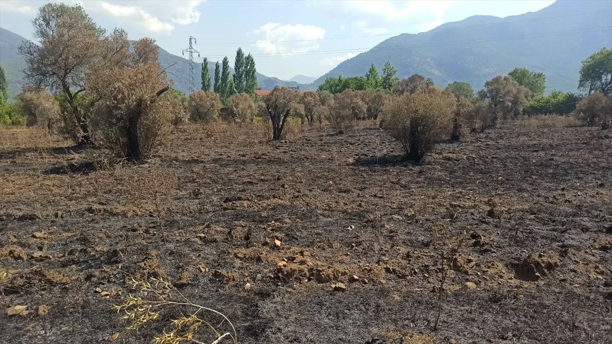 Fethiye'de yangın hasar tespiti sürüyor