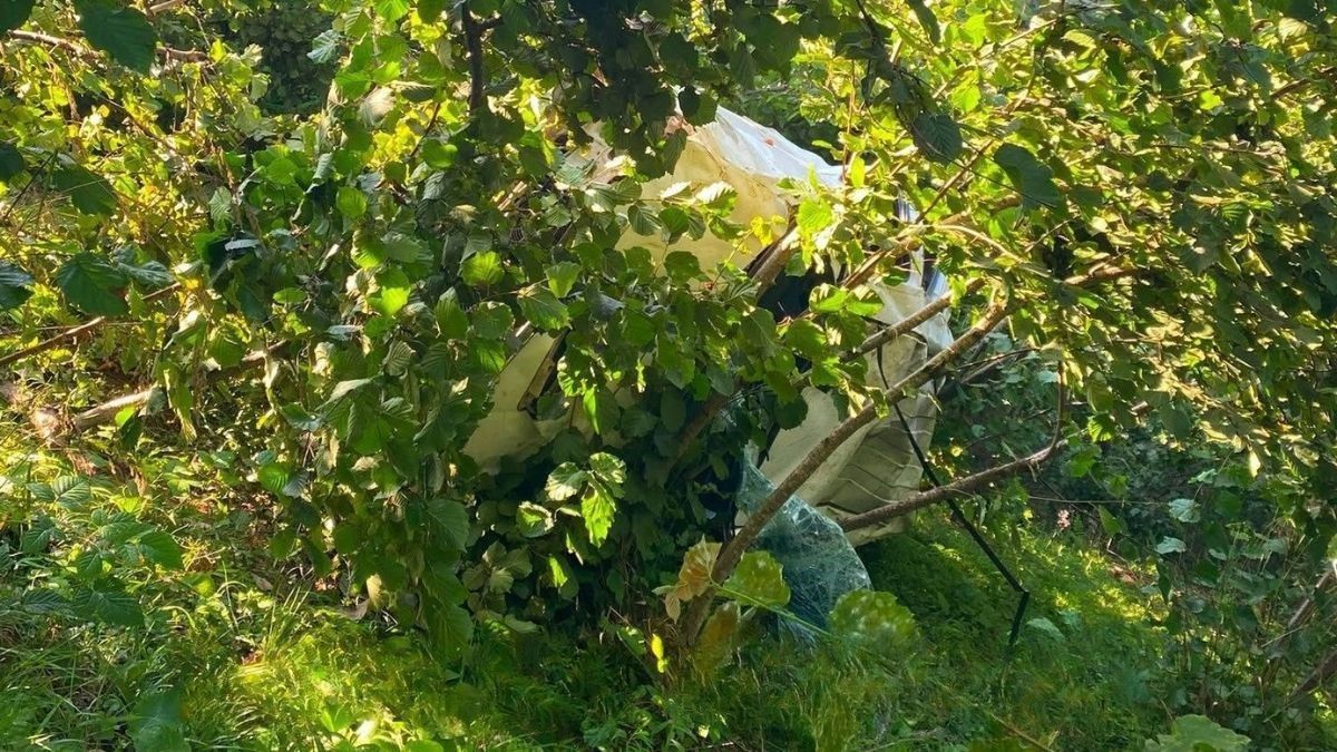 Giresun'da Kamyonet Fındık Bahçesine Devrildi: 1 Kişi Hayatını Kaybetti