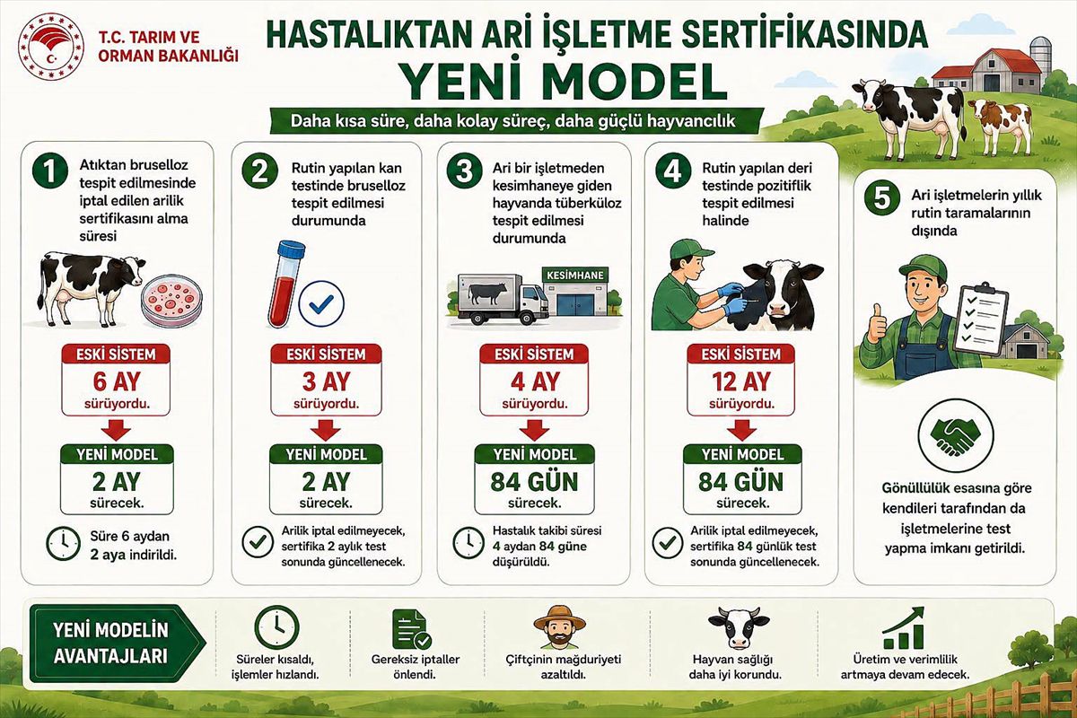 Hastalıktan ari işletmelerde risk esaslı takip dönemi