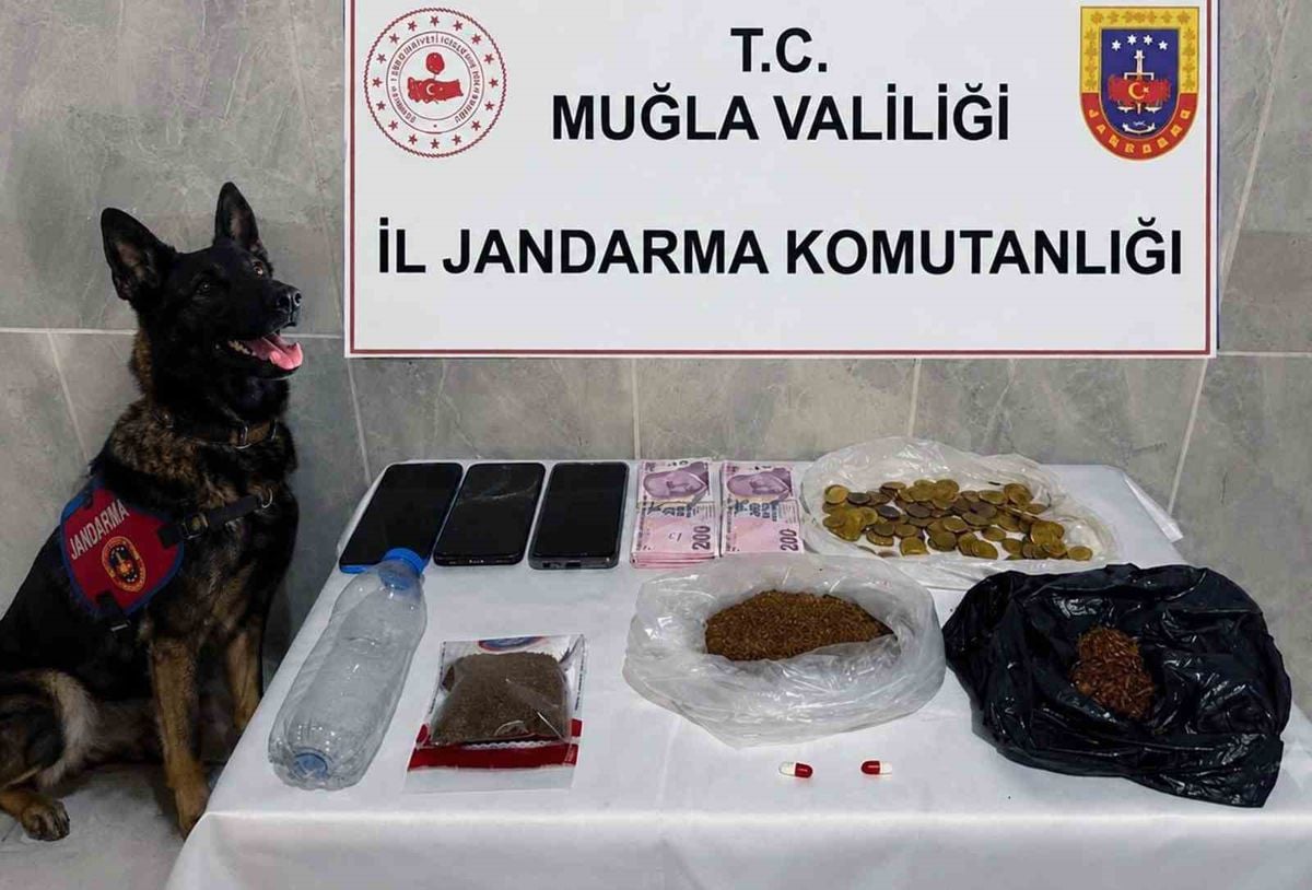 Muğla'da kaçakçılık operasyonu: 24 operasyon, 36 şüpheli