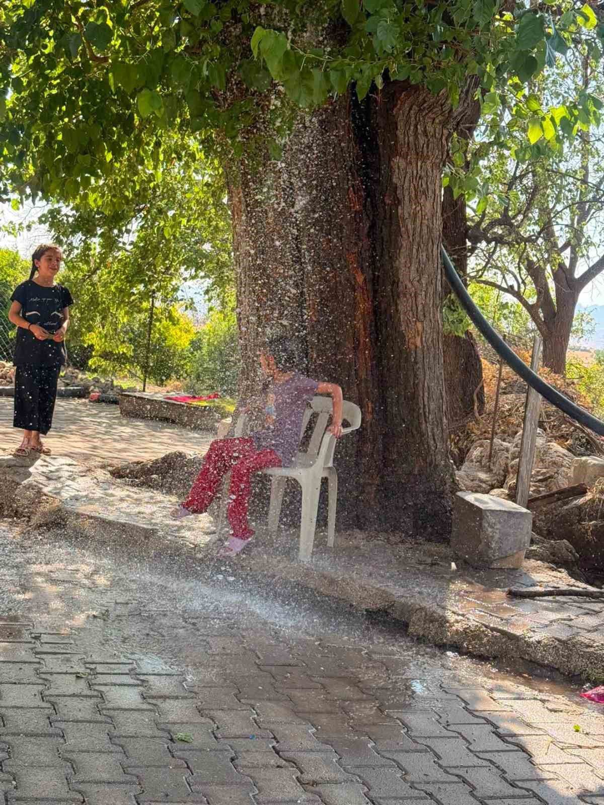 Çermik'te Sıcaktan Bunalan Çocuk Ağaçtan Akan Suyla Serinledi