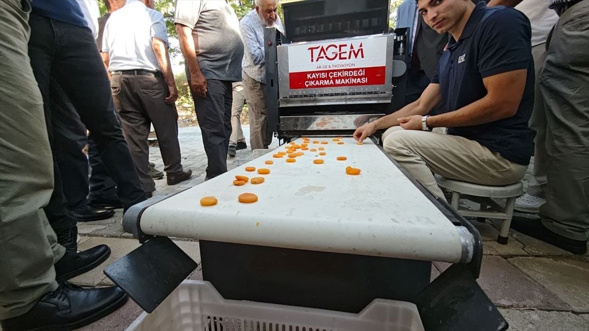 Malatya'da günde 2 ton kayısı ayıklayan makine geliştirildi
