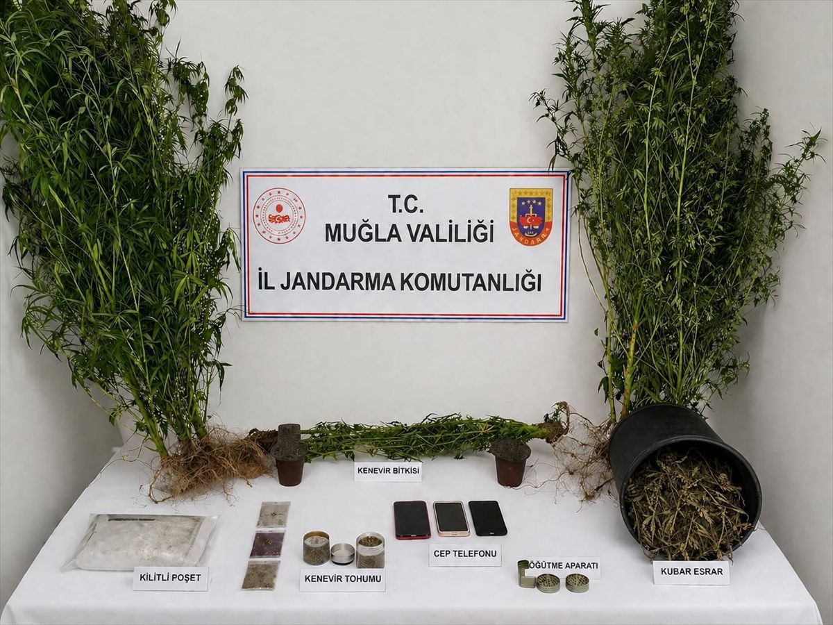 Muğla'da Uyuşturucu Operasyonu: 33 Tutuklama