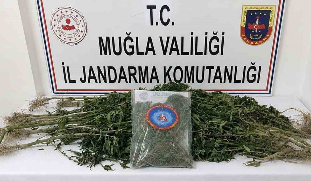 Muğla'da Uyuşturucu Operasyonları: 33 Tutuklama