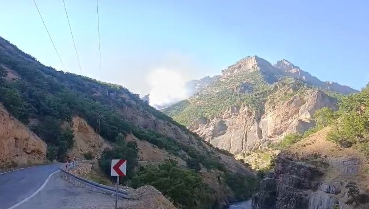 Munzur Vadisi'nde Örtü Altı Yangınına Müdahale