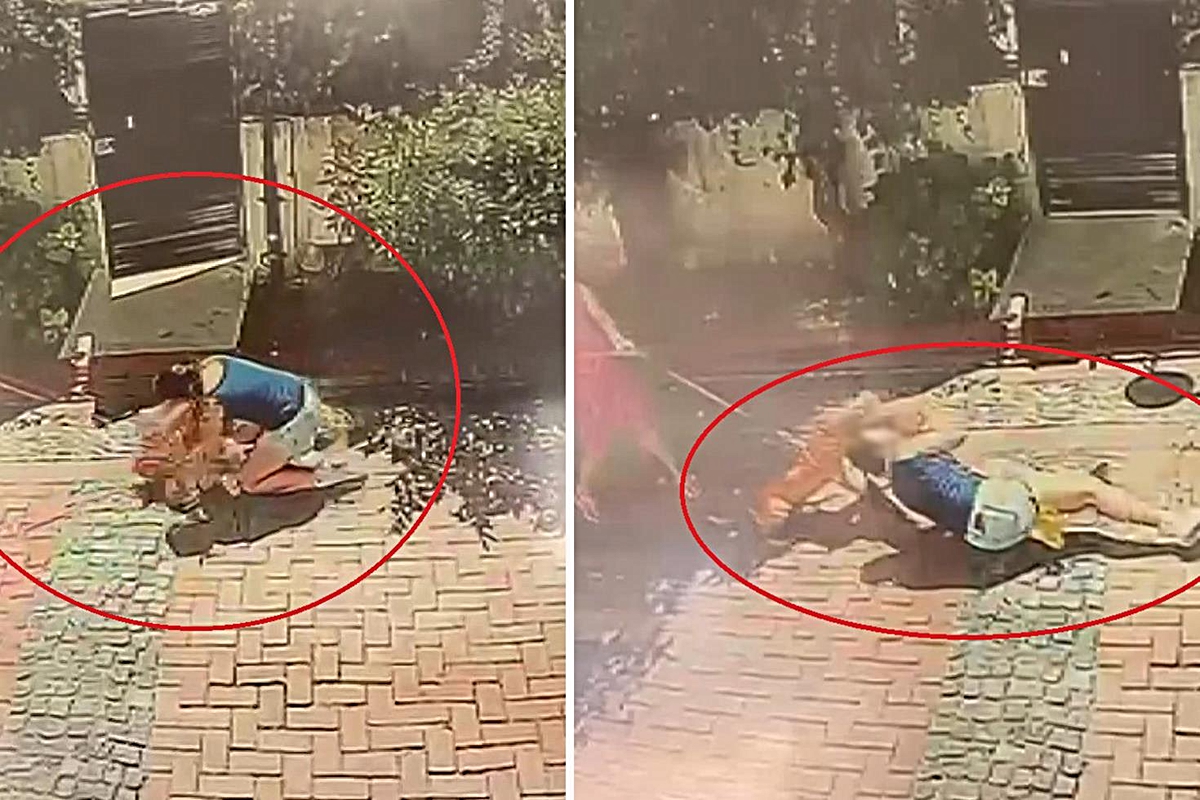 Samsun'da pitbull dehşeti: Küçük kızı yere savurdu, köpeğini ise ağır yaraladı