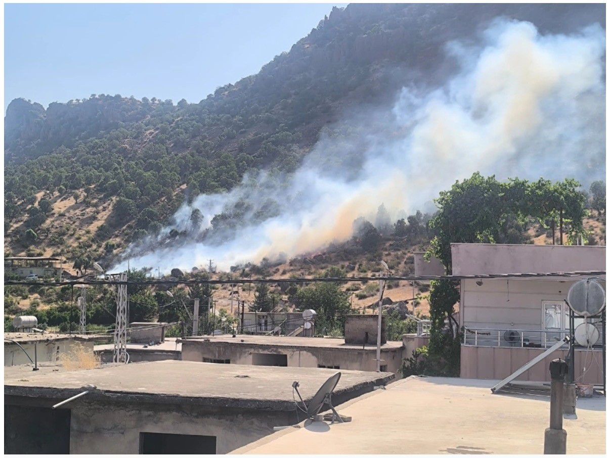 Siirt'teki orman yangını söndürüldü