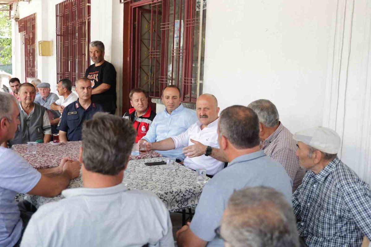 Vali Varol: 'Yanan alanlar en kısa sürede yeniden yeşillendirilecek'