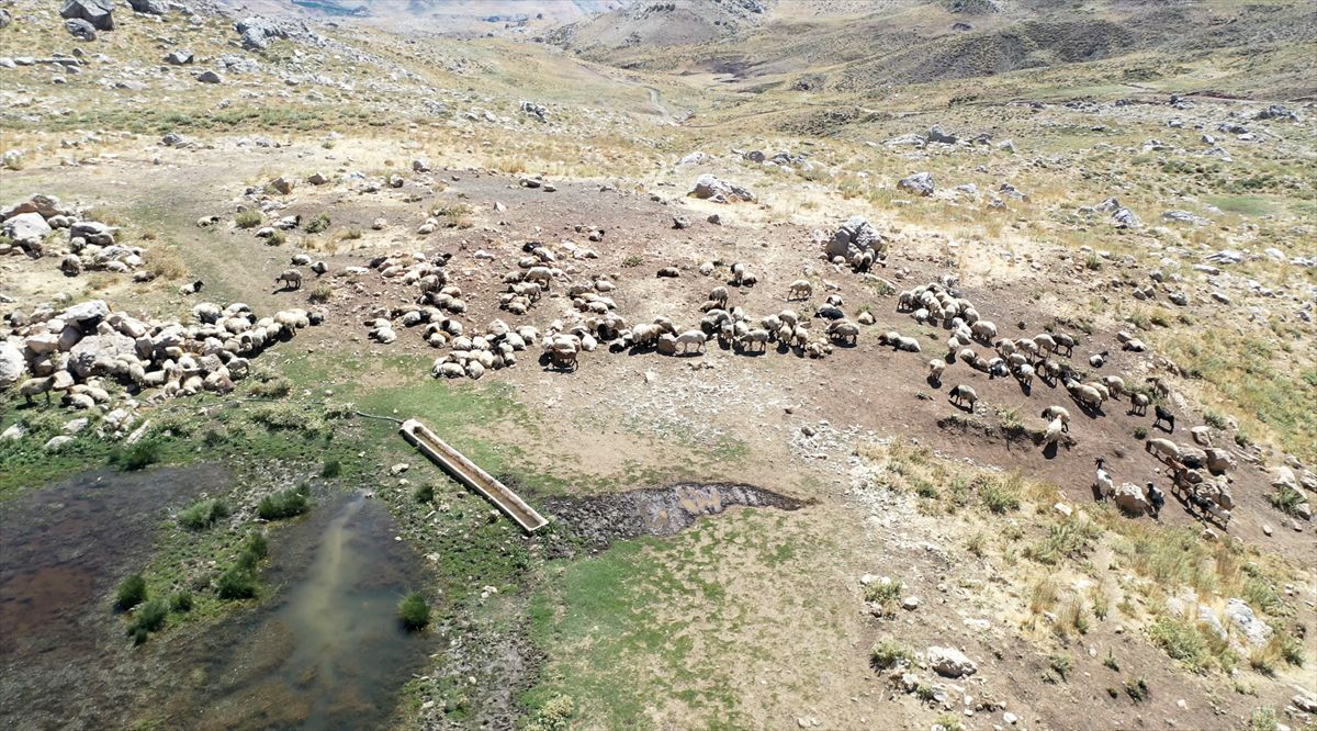 Adıyaman'ın yüksek rakımlı yaylalarında göçerlerin üretim mesaisi