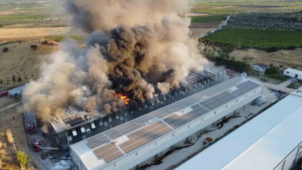 Turgutlu'da yumurta tesisinde yangın: Milyonlarca lira hasar
