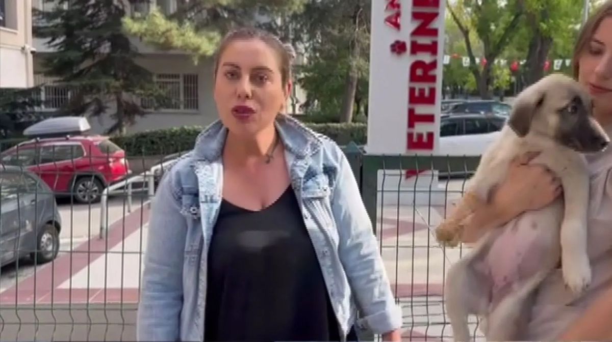 Kardeşini Öldüren Şüpheli Kırıkkale'de Yakalandı