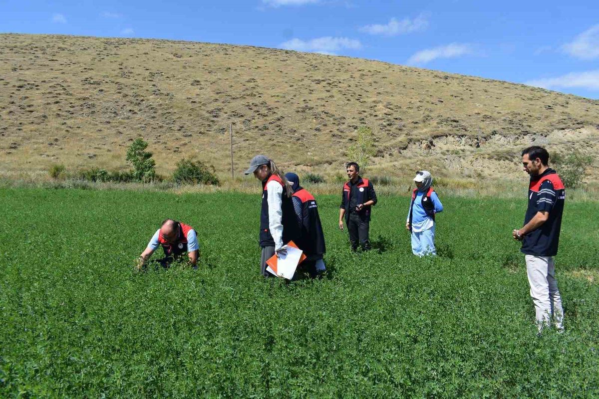 Bayburt'ta Tarım Arazilerinde Üretim Planlaması Kontrolleri Sürüyor