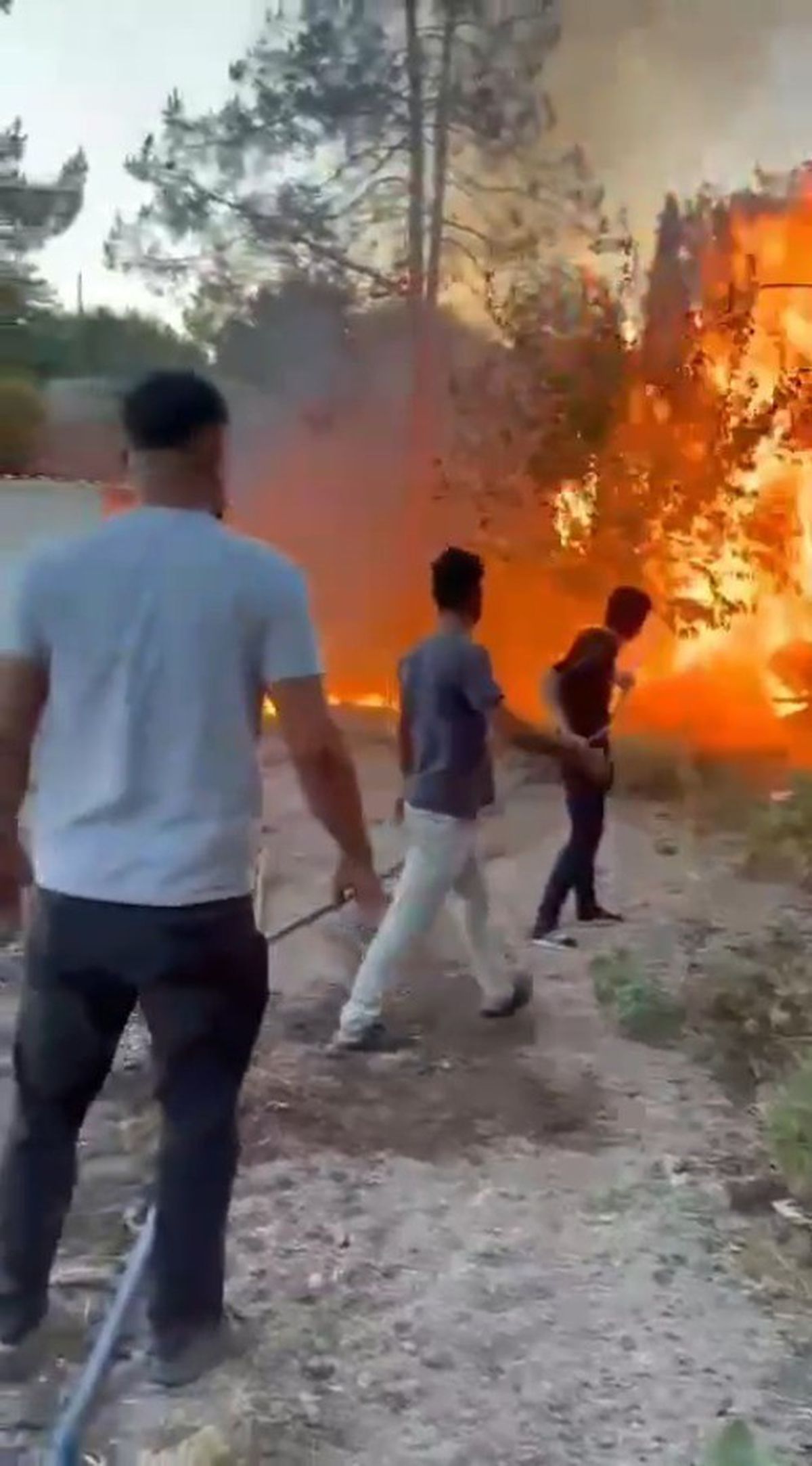 Birecik'te ağaçlık alanda yangın paniği