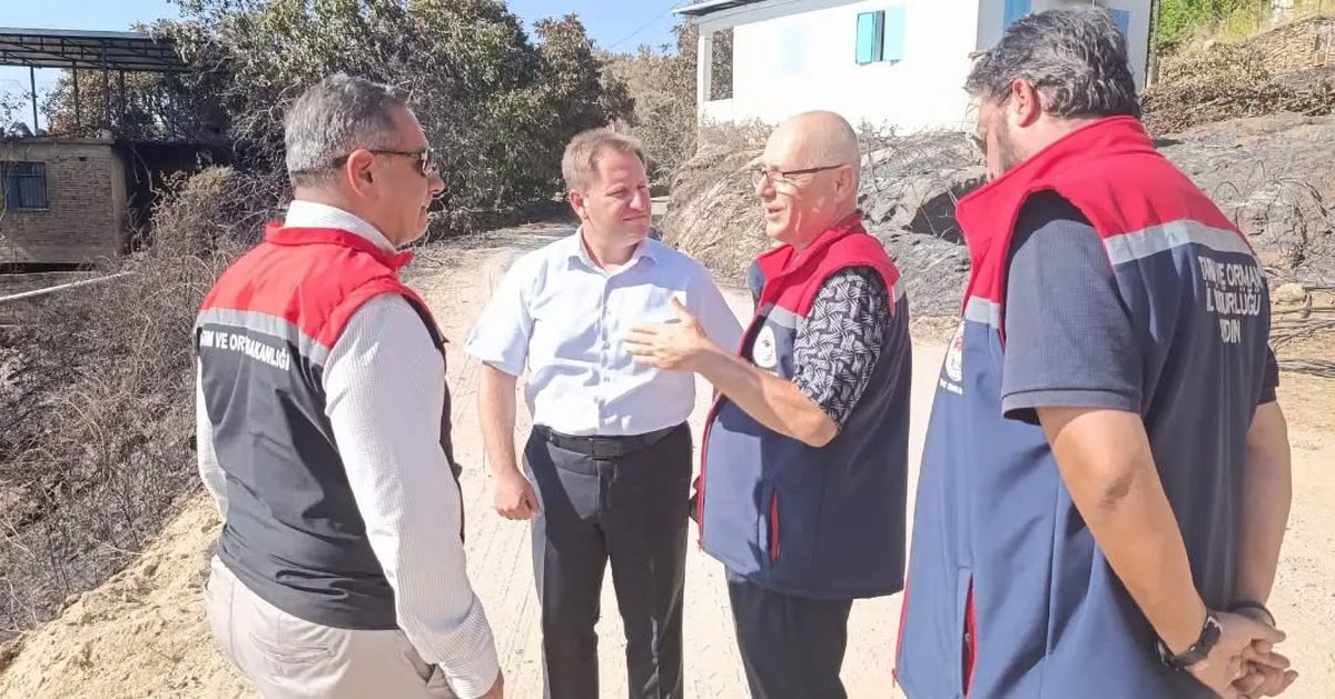 Aydın'da Yangın Hasar Tespit Çalışmaları Sürüyor