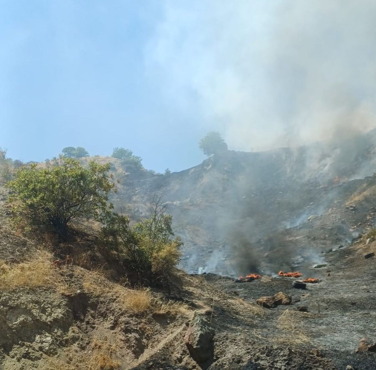 Adıyaman'da Çöplük Yangını Ormanlık Alana Sıçradı
