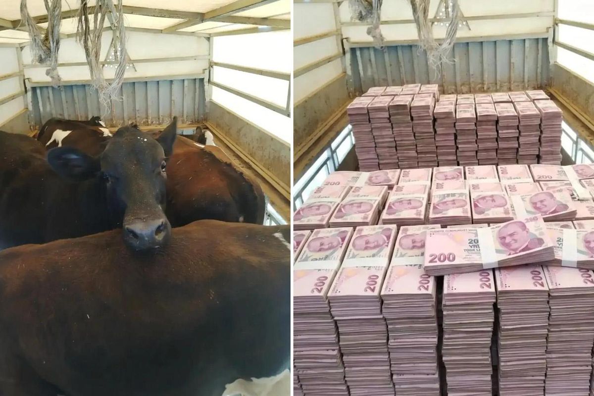 Düştüğü not manidar! Kayserili besicinin paylaşımına bakın