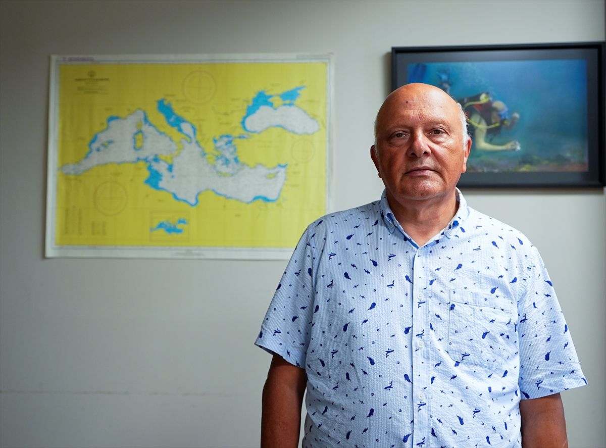 Ege'de Dev Mercan Ormanı Keşfedildi