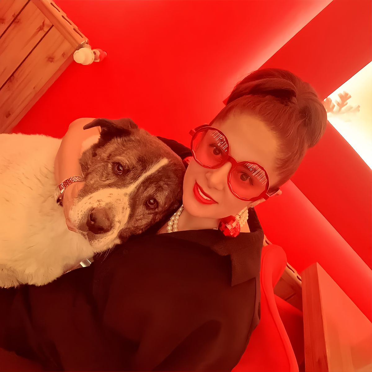 Esenyurt'ta Sahipli Köpek Alaş Belediye Barınağında Ölü Bulundu; Şenel Çifti Otopsi ve Adalet İstiyor