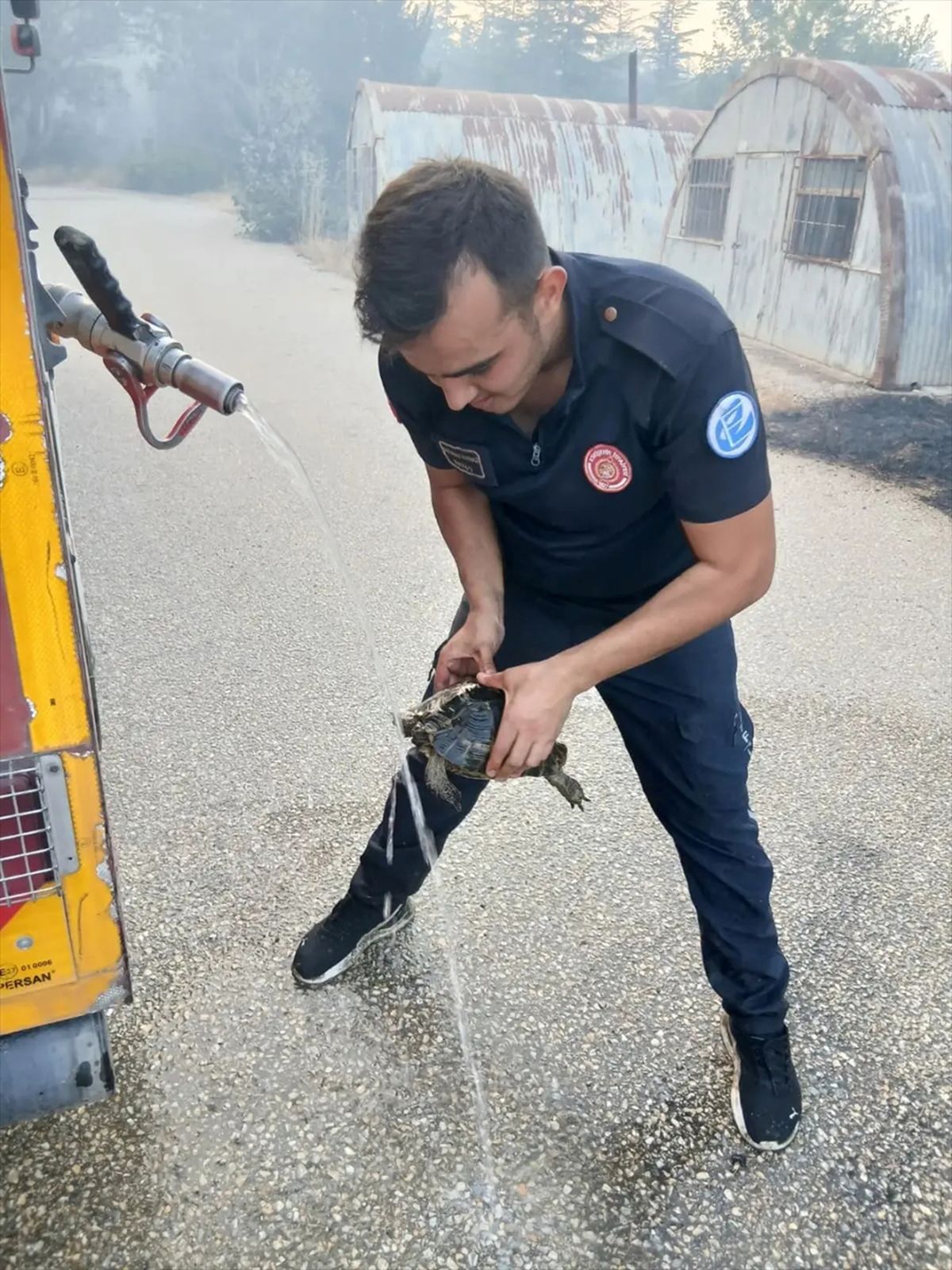 Eskişehir'de Yangından Kurtarılan Kaplumbağa Doğaya Bırakıldı
