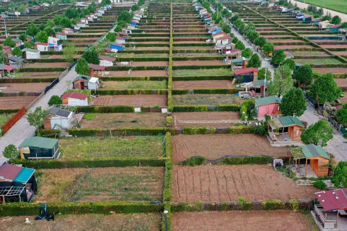 Hobi bahçeleri ve Bungalovlar için yeni dönem! Arazi sınırlaması değişti