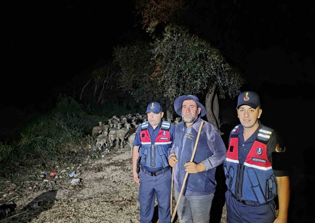 Bilecik'te kayıp çoban ve 100 koyun jandarma tarafından bulundu
