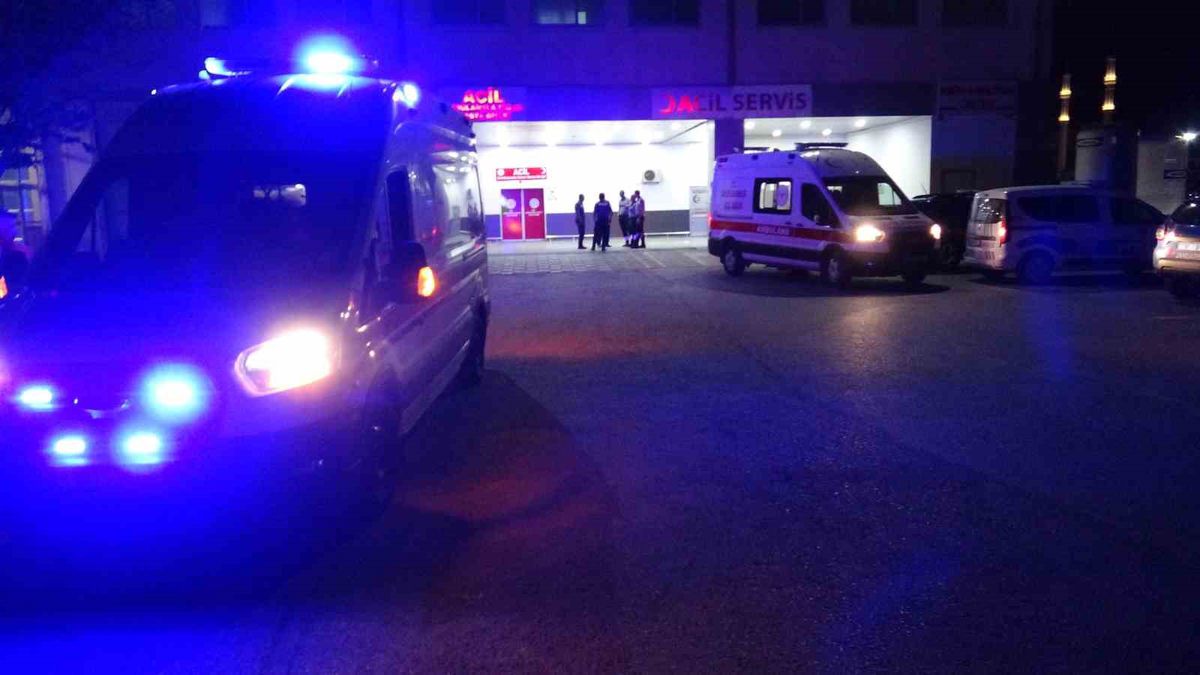 Akçadağ'da Akraba Kavgası: 6 Yaralı