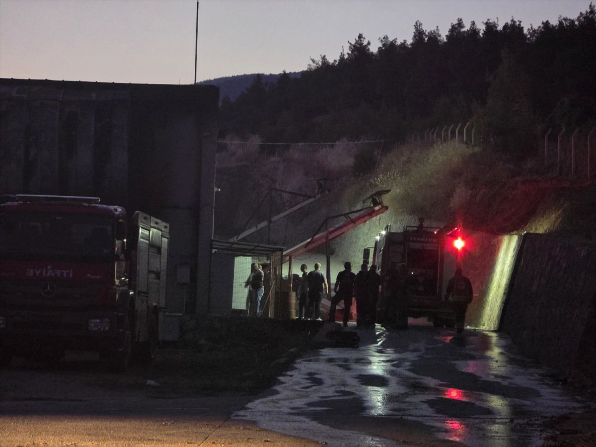 Turgutlu'da yumurta tesisi yangını
