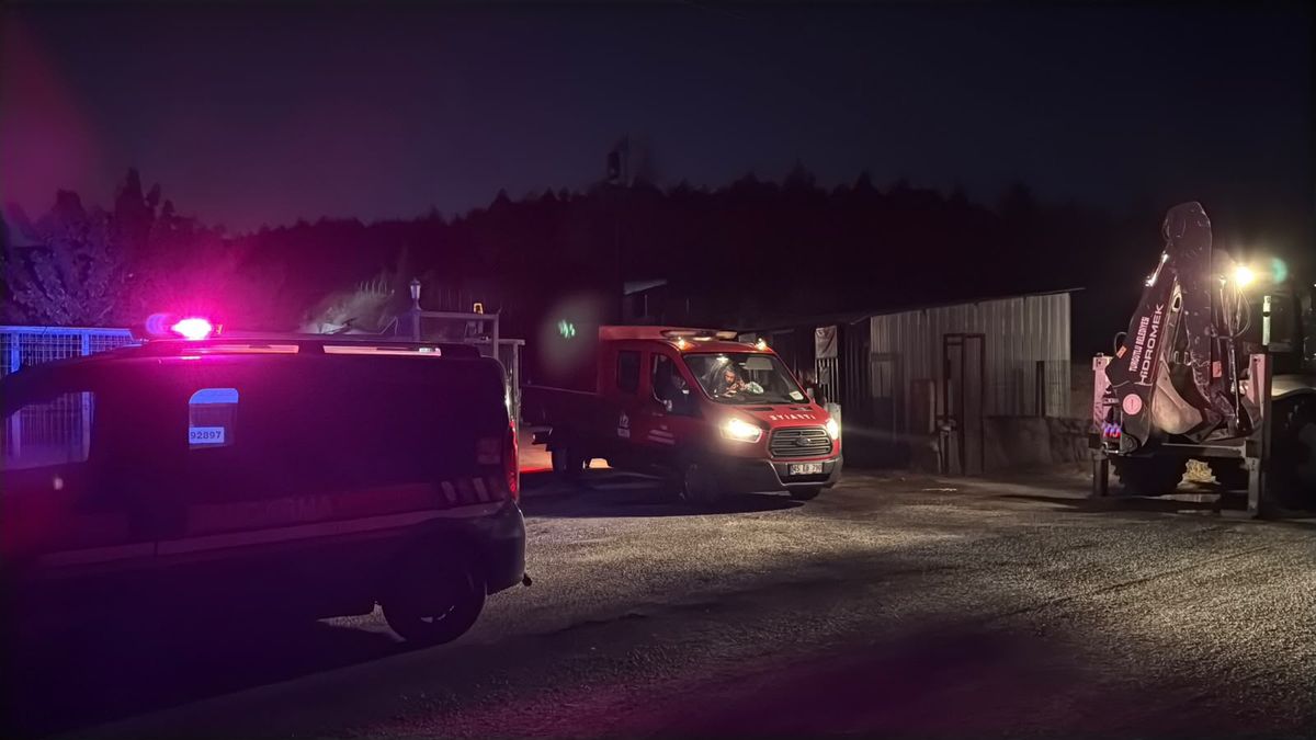 Turgutlu'da yumurta tesisinde yangın