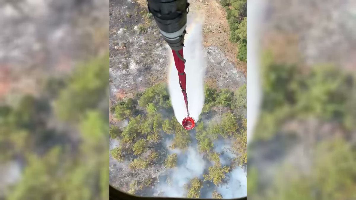 Muğla'da ziraat alanındaki yangın ormanlık alana sıçradı