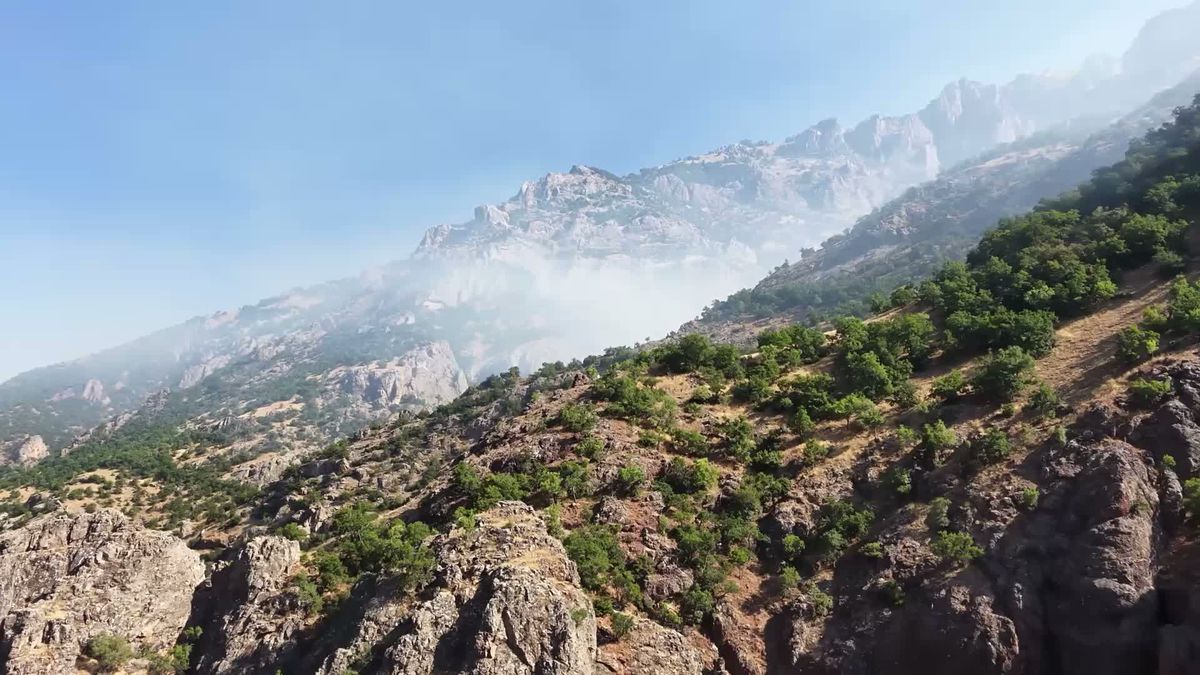 Munzur Vadisi'nde orman yangını: 2 hektar alanda kontrol altına alınmaya çalışılıyor