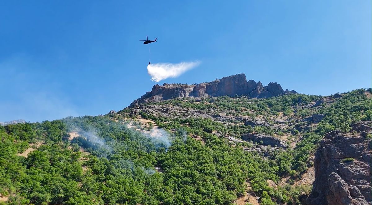 Munzur Vadisi'nde Orman Yangını Kontrol Altına Alındı