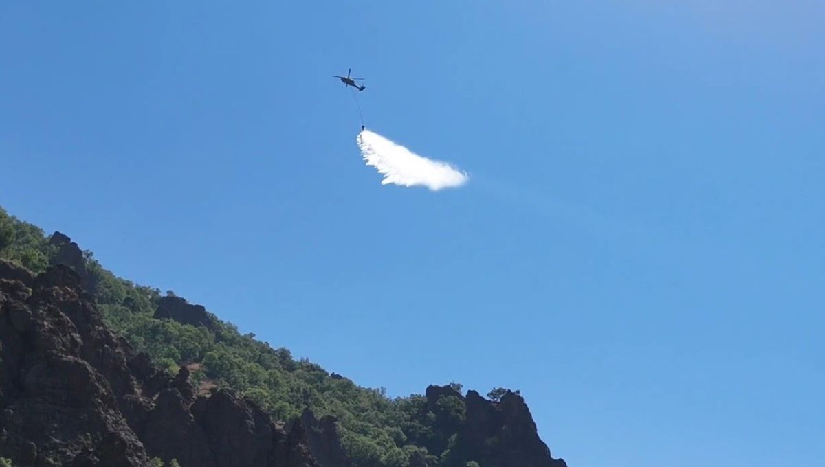 Tunceli'de Munzur Vadisi'ndeki örtü yangını kontrol altına alındı