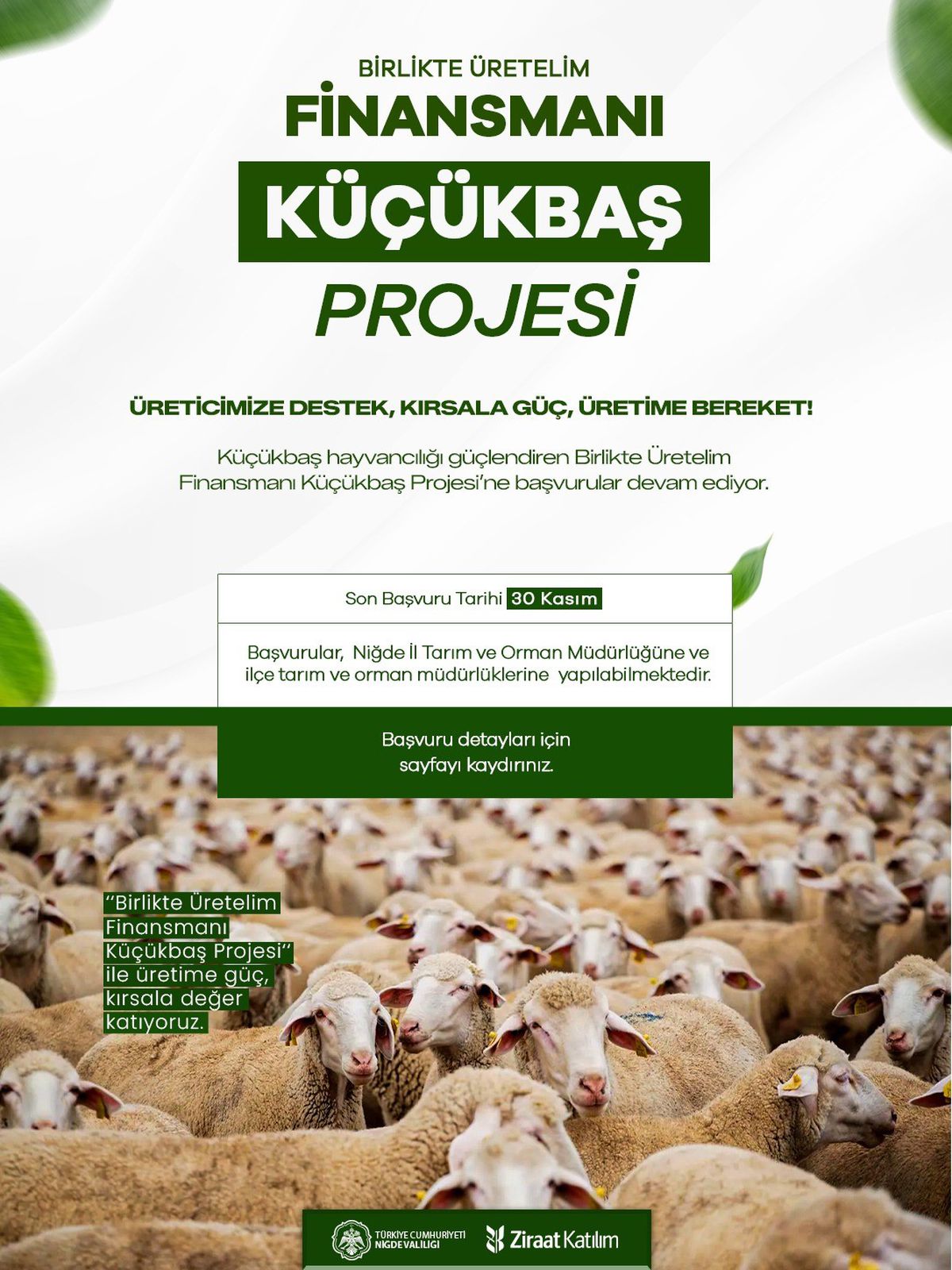 Niğde'de Küçükbaş Projesi Başvuruları Sürüyor