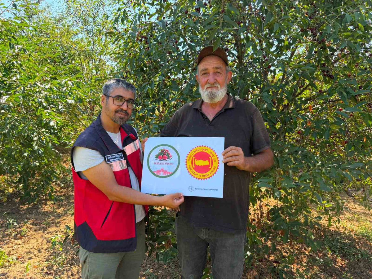 Şaphane Vişnesi İçin Coğrafi İşaret Denetimi Sürüyor