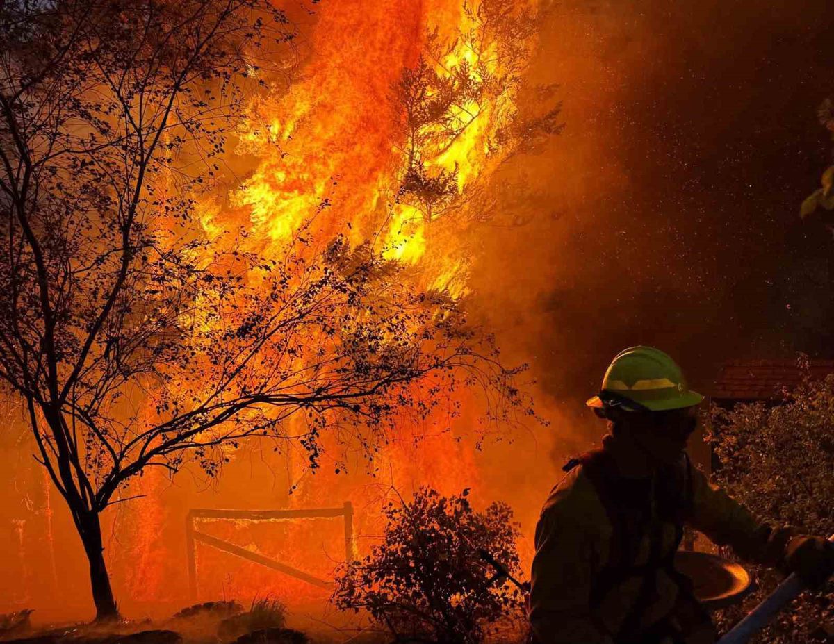 Spokane'da yangın felaketi: 8 bin dönüm küle döndü