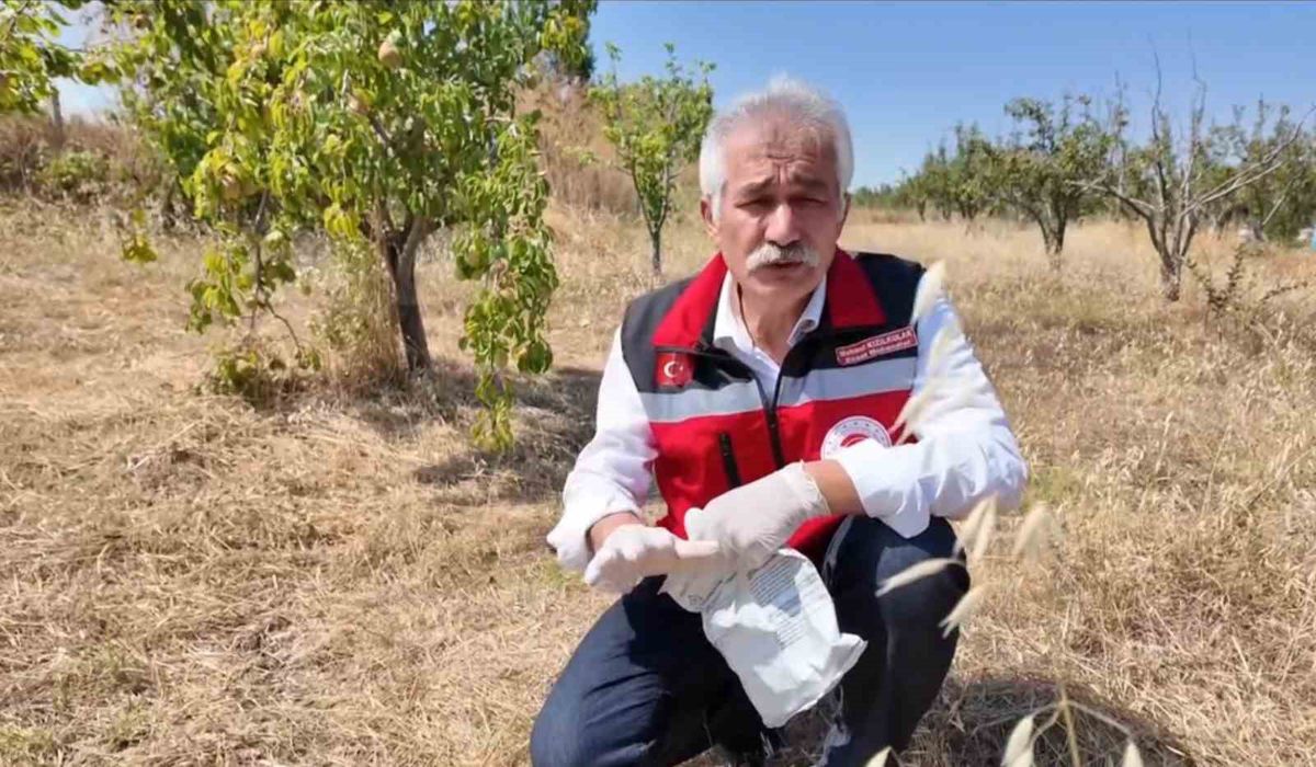 Tekirdağ'da tarla faresiyle zamanında mücadele çağrısı